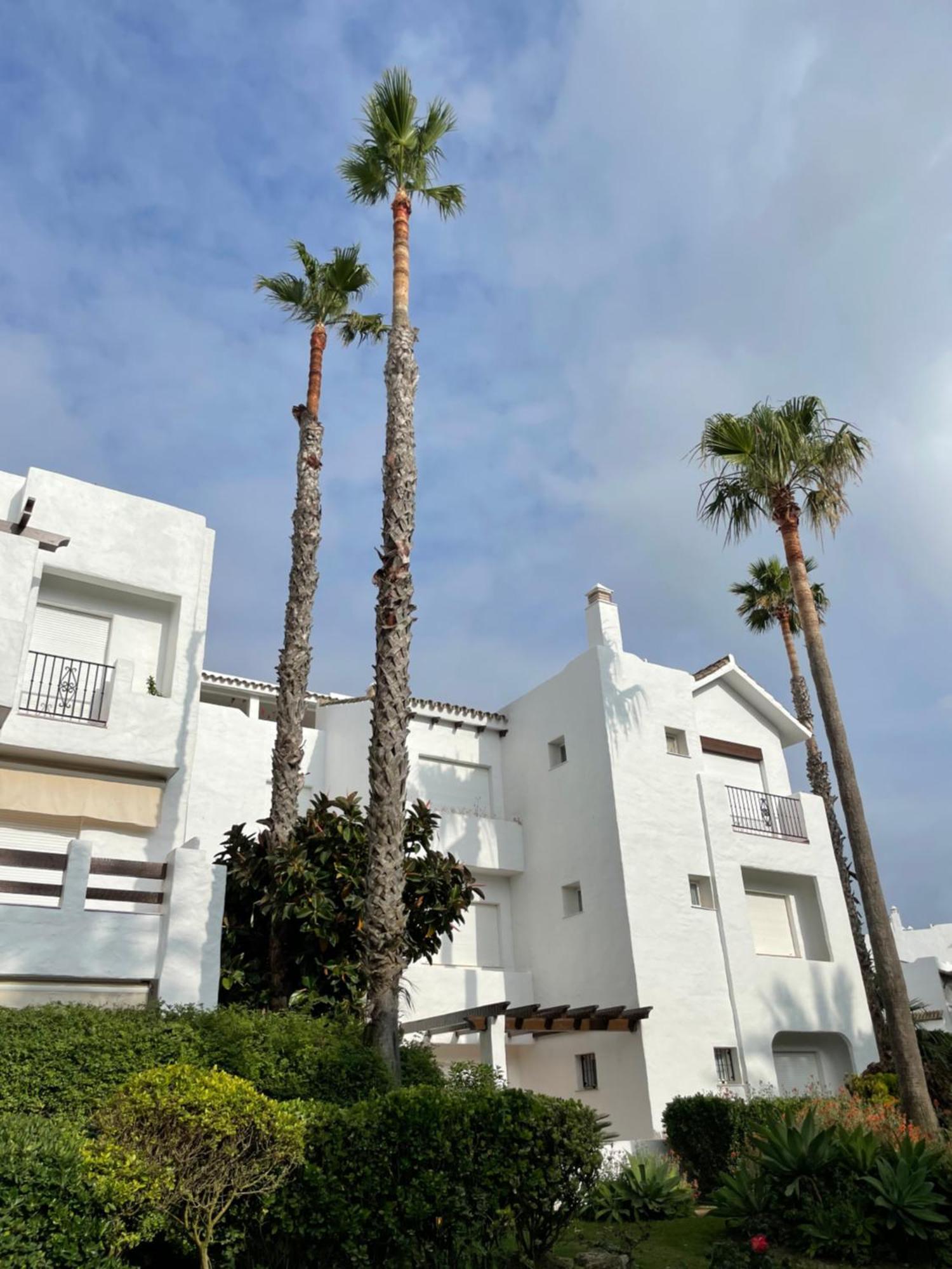 Relax&Sunset Appartement Costa Ballena Rota Esterno foto
